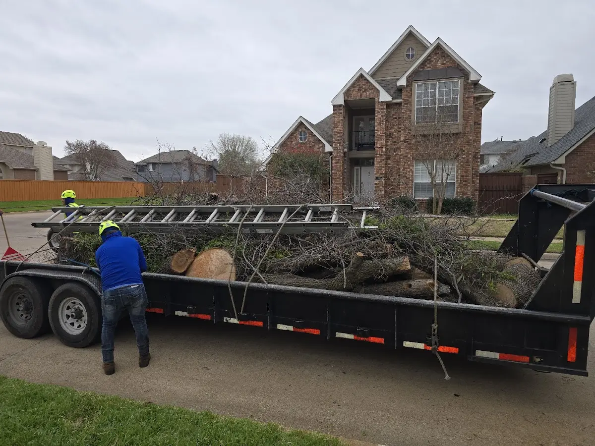 Expert Tree Removal with proper safety equipment in Rockholds
